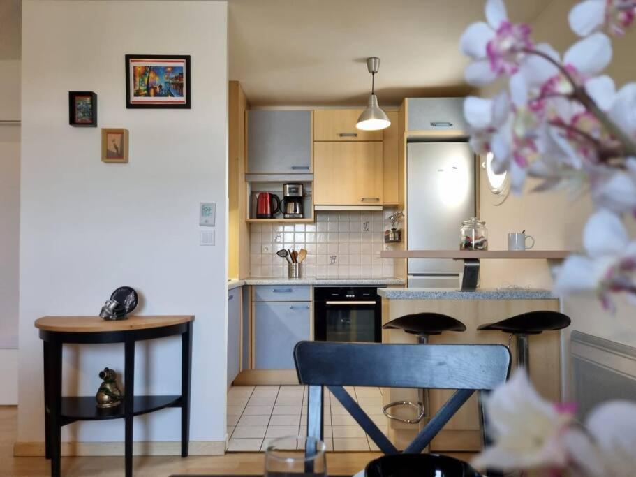 Appartement Cosy Centre Brie Comte Robert Zewnętrze zdjęcie